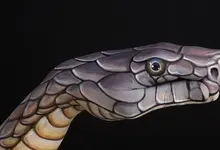 hands snakes black background body painting 1920x1080 wallpaper Art HD Wallpaper
